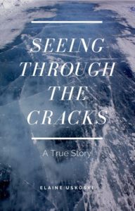 seeing through the cracks elaine uskoski