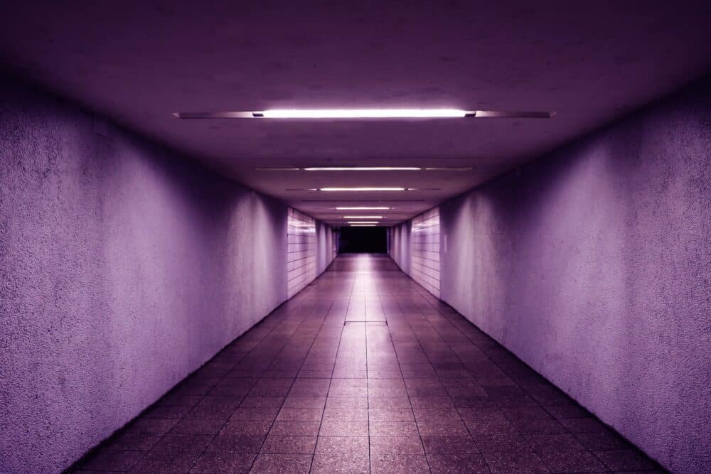 purple hallway