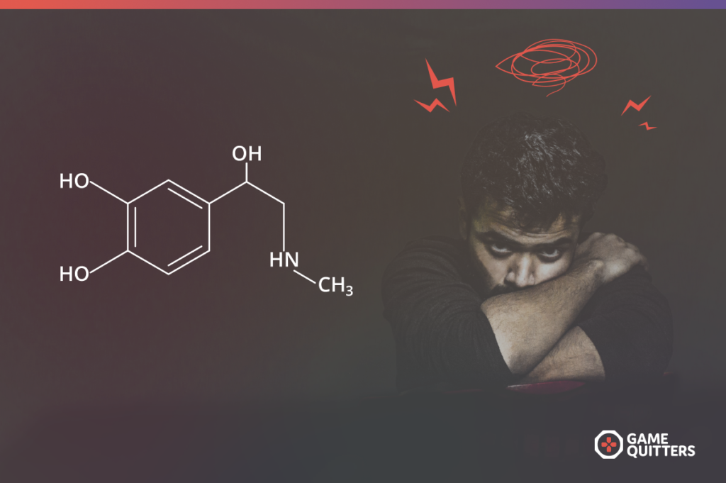 adrenaline or cortisol