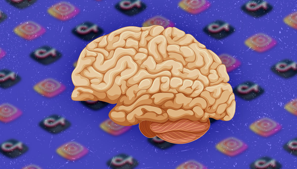 picture of brain and social media icons