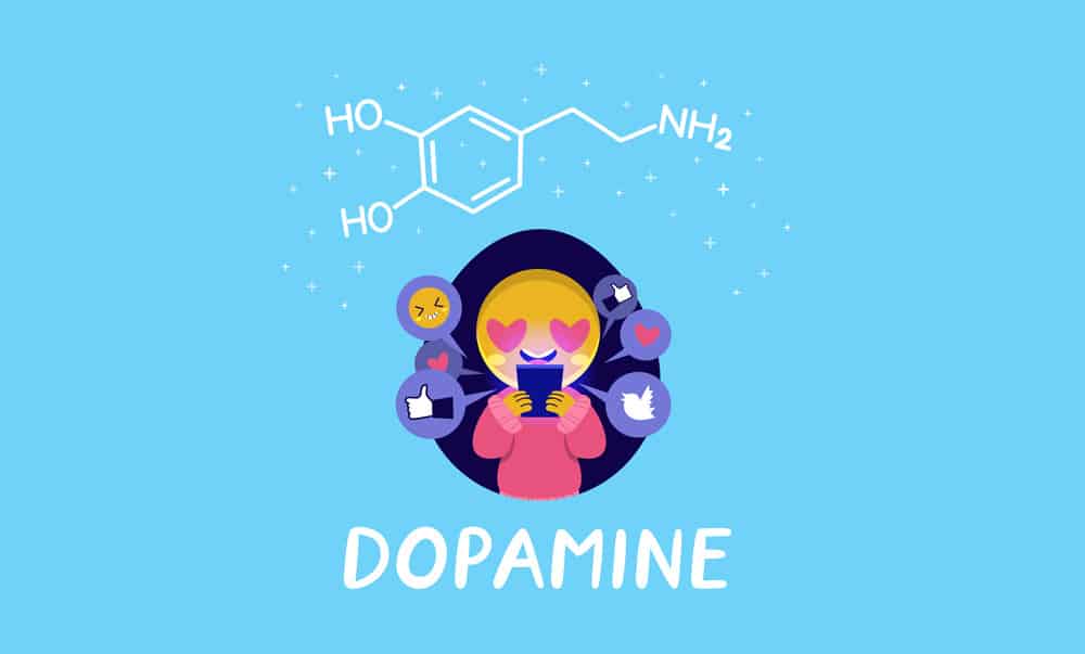 What Is The Dopamine Theory Of Addiction 2132