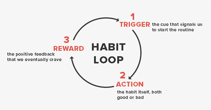 the habit loop