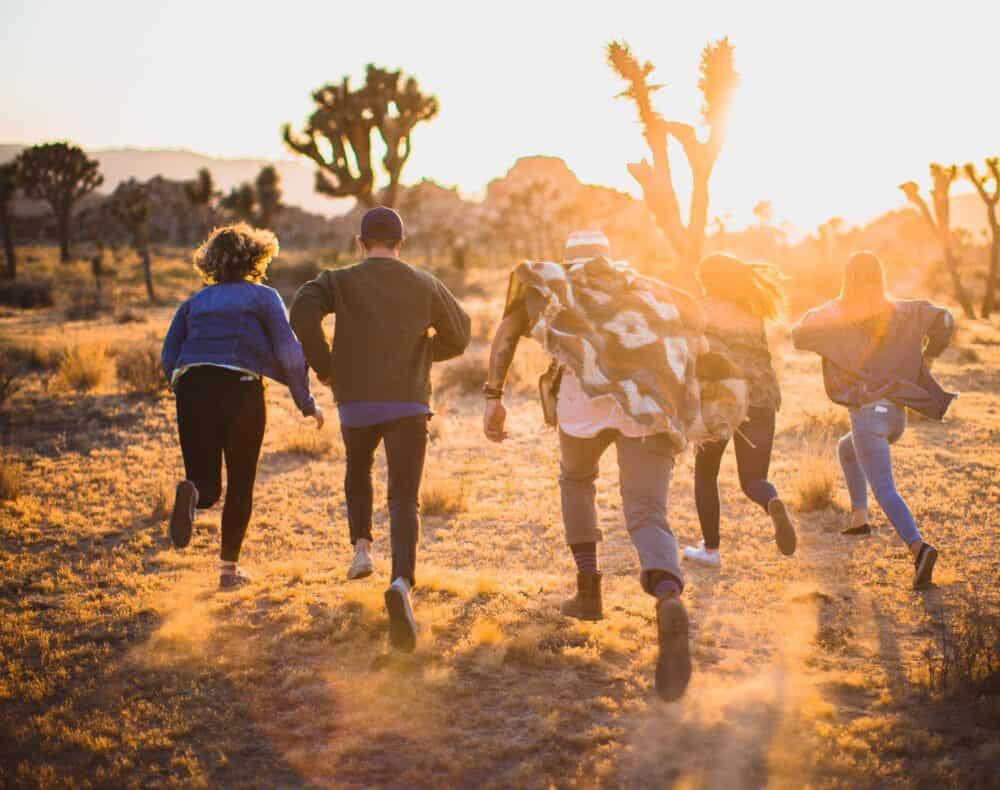 friends in joshua tree