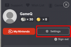 Nintendo Account, Support